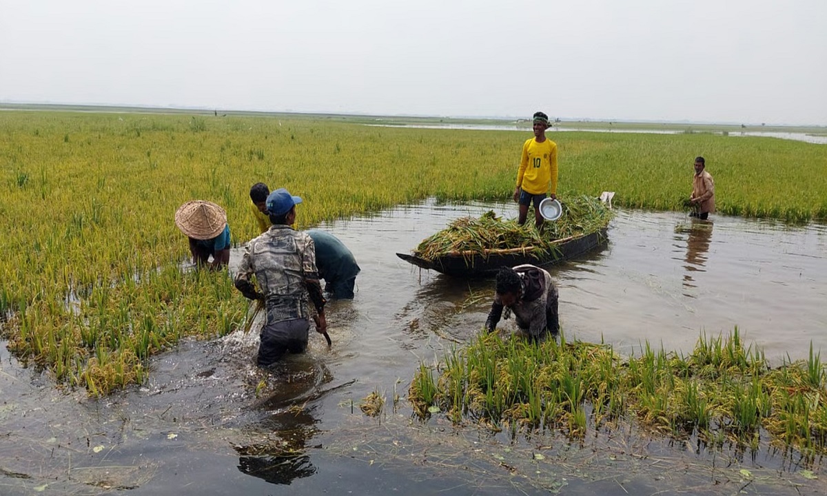 আগামী ৫ মে পর্যন্ত বৃষ্টিপাত অব্যাহত থাকতে পারে।
