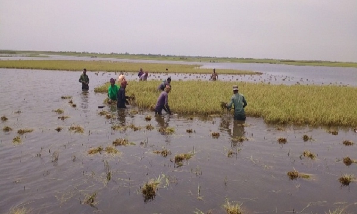 আগামী ৫ মে পর্যন্ত বৃষ্টিপাত অব্যাহত থাকতে পারে।